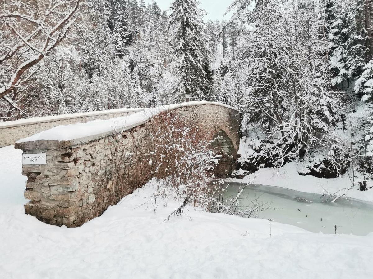 Ubytovanie Lala Spisske Tomasovce Экстерьер фото