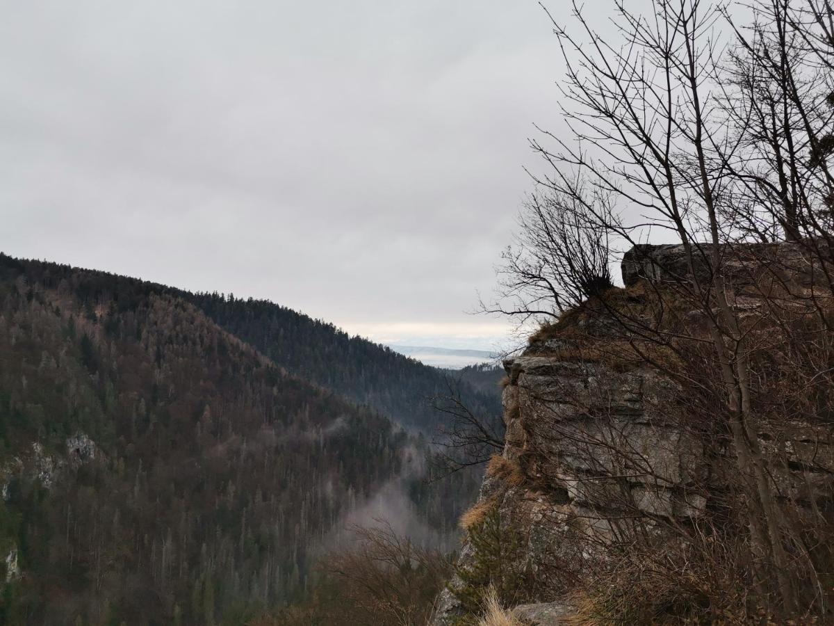 Ubytovanie Lala Spisske Tomasovce Экстерьер фото