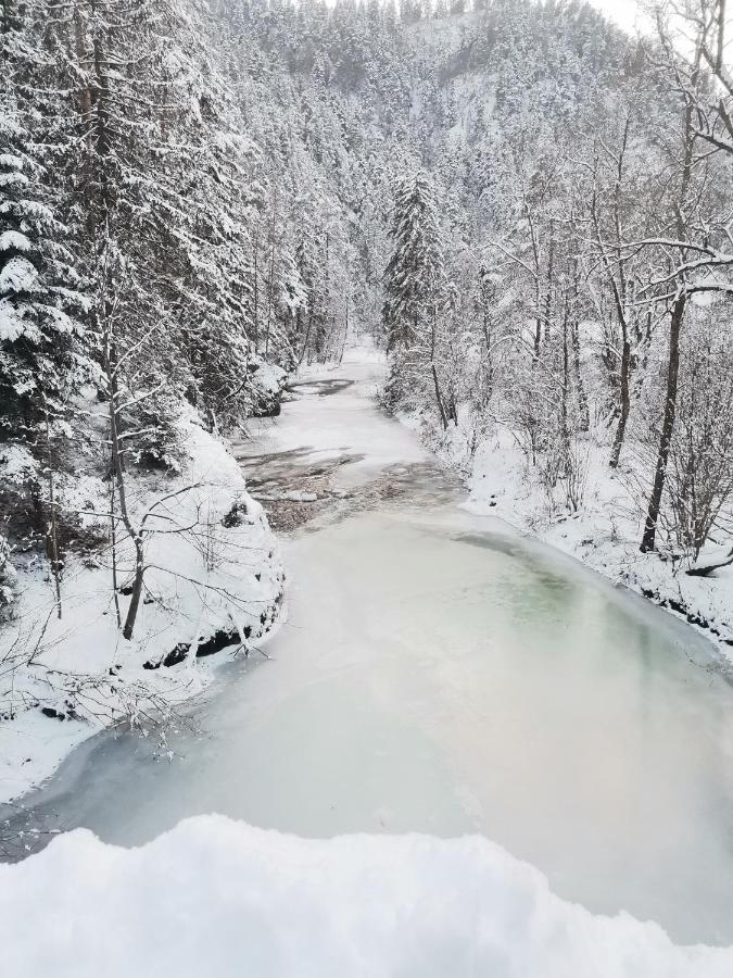 Ubytovanie Lala Spisske Tomasovce Экстерьер фото